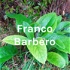 Franco Barbero