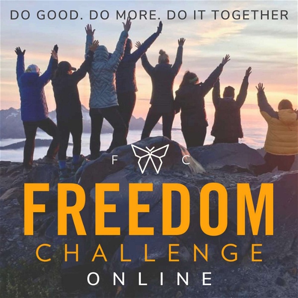 Artwork for Freedom Challenge Online