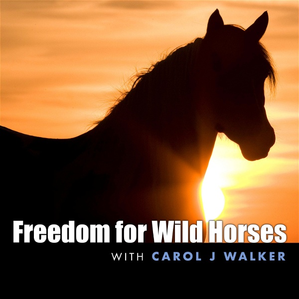 Artwork for Freedom for Wild Horses