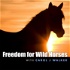 Freedom for Wild Horses