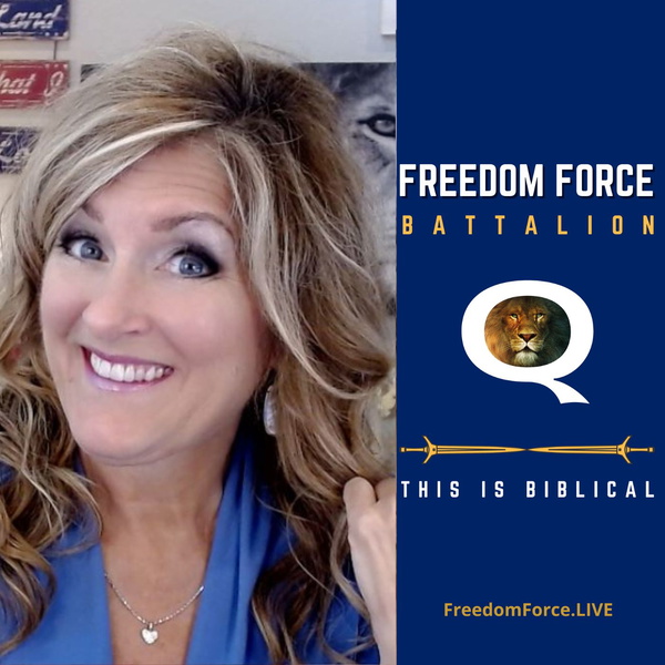 Artwork for Freedom Force Battalion