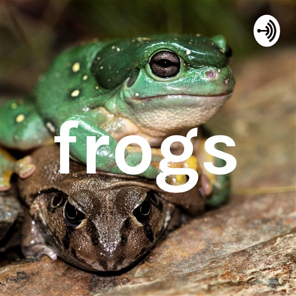 Artwork for frogs