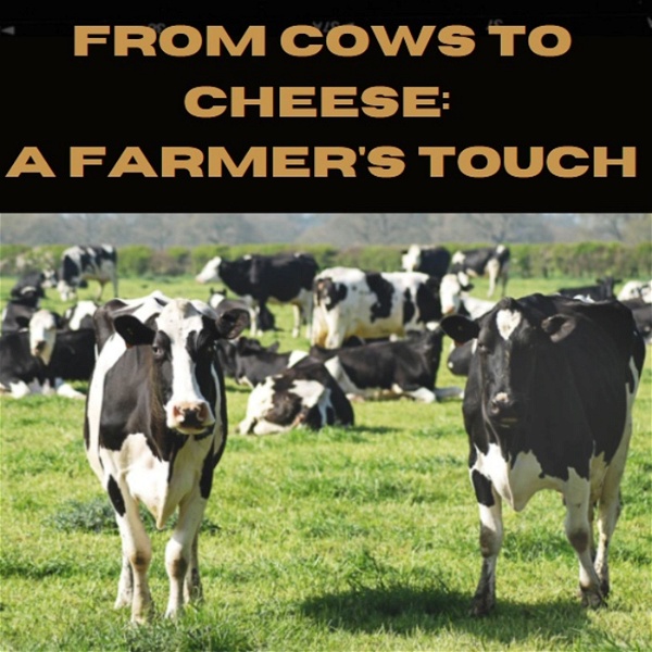 Artwork for From Cows to Cheese: A Farmer's Touch