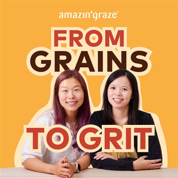 Artwork for From Grains To Grit