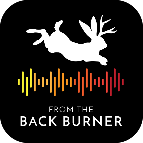 Artwork for From the Back Burner Podcast