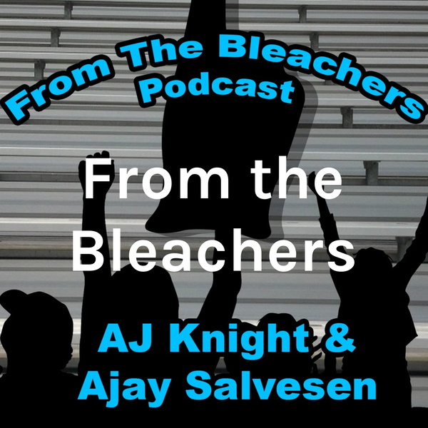 Artwork for From the Bleachers