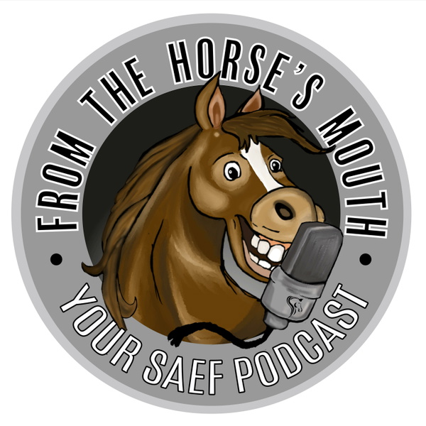 Artwork for From the Horse's Mouth