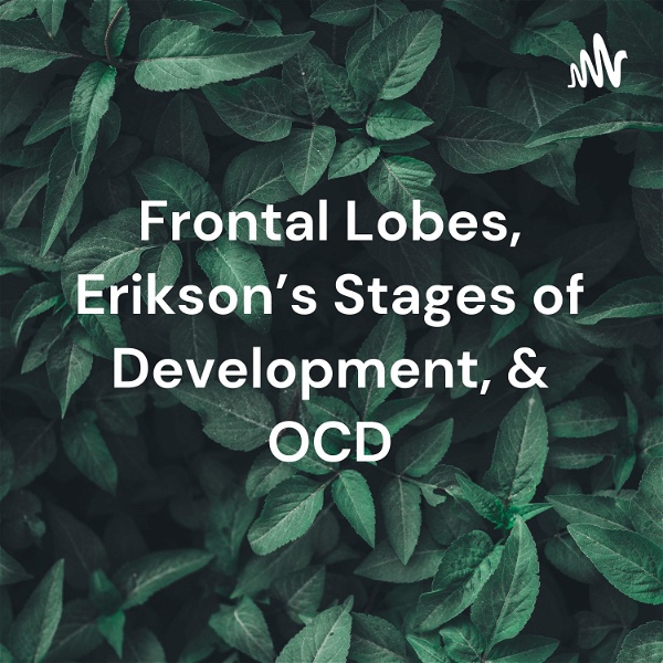 Artwork for Frontal Lobes, Erikson's Stages of Development, & OCD