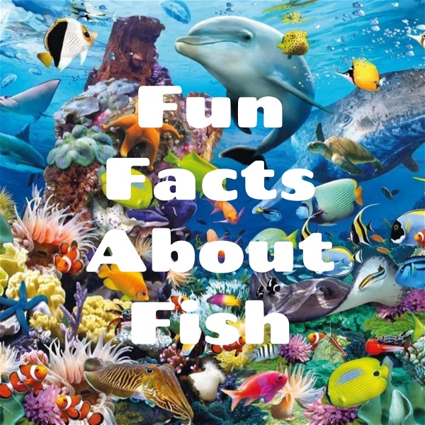 Artwork for Fun Facts About Fish