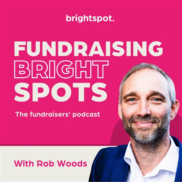 Artwork for Fundraising Bright Spots