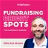 Fundraising Bright Spots