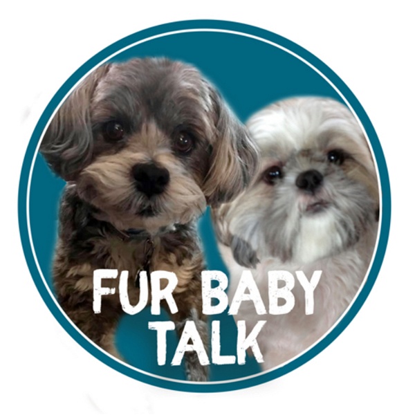 Artwork for Fur Baby Talk