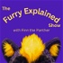 The Furry Explained Show with Finn the Panther
