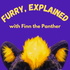 The Furry Explained Show with Finn the Panther