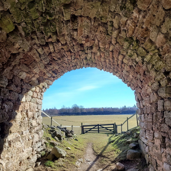 Artwork for Fusty Cloak