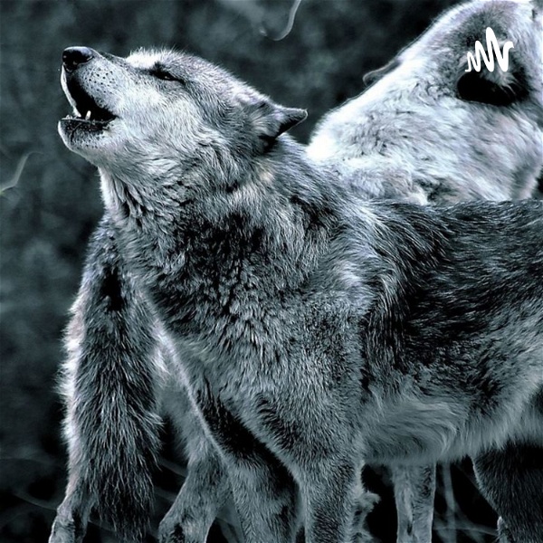 Artwork for Die Wolfshöhle-Der Podcast über alles