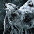 Die Wolfshöhle-Der Podcast über alles