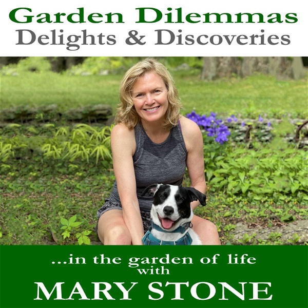 Artwork for Garden Dilemmas, Delights & Discoveries