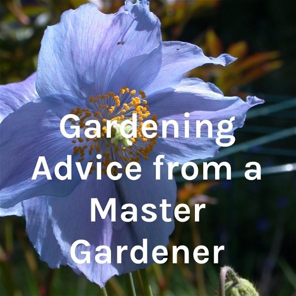 Artwork for Gardening Advice from a Master Gardener