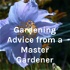Gardening Advice from a Master Gardener