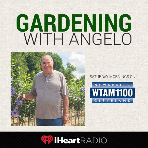 Artwork for Gardening With Angelo