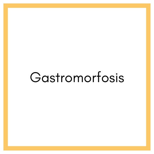 Artwork for Gastromorfosis