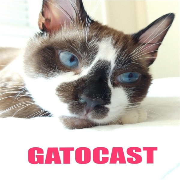Artwork for Gatocast