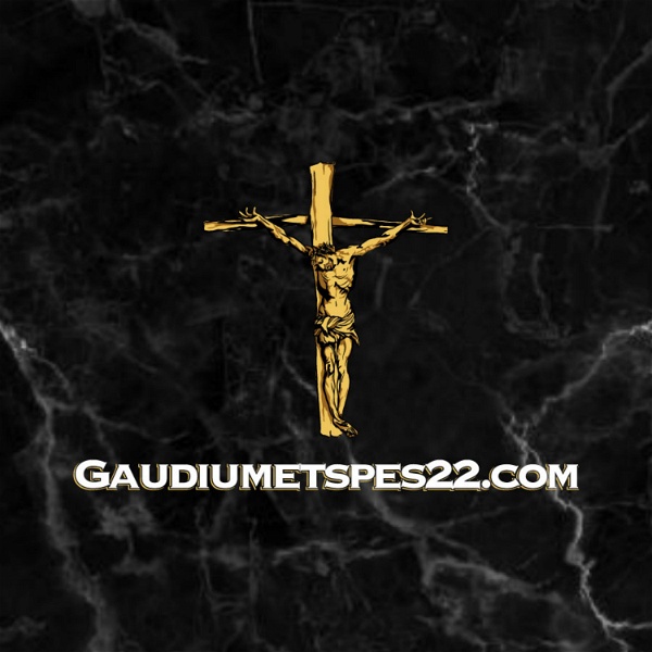 Artwork for Gaudiumetspes22 podcast
