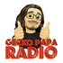 Gecko Papa Radio