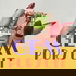 Gem Pursuit