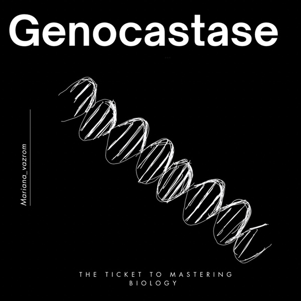 Artwork for Genocastase