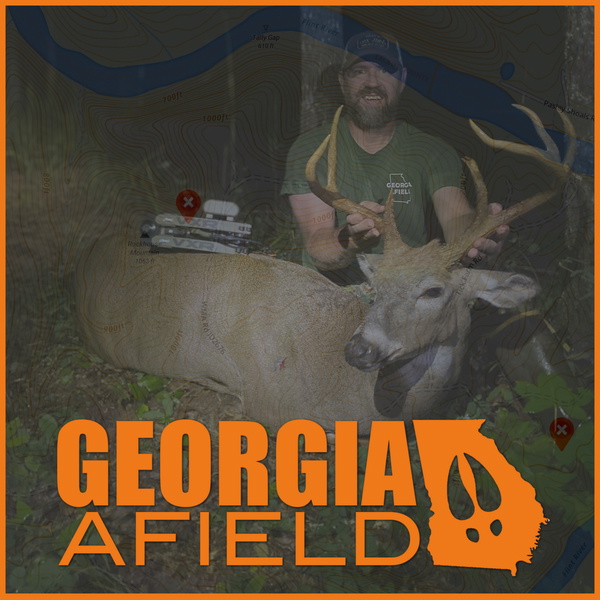 Artwork for Georgia Afield