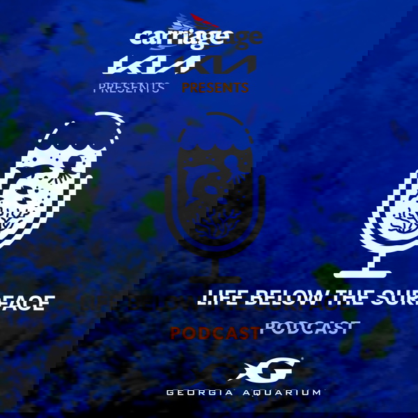 Artwork for Life Below The Surface- A Georgia Aquarium Podcast