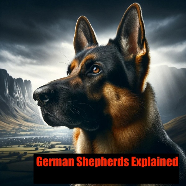 Artwork for German Shepherds