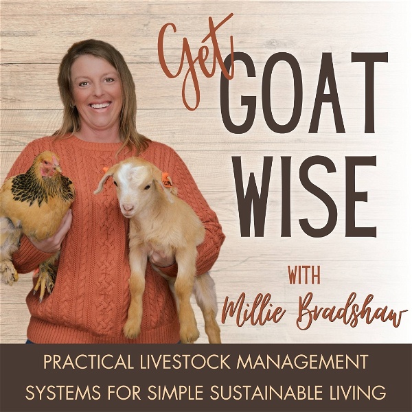 Artwork for Get Goat Wise