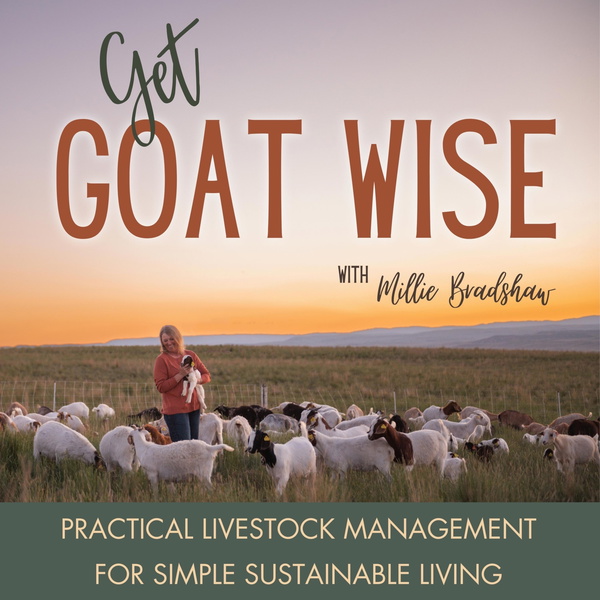 Artwork for Get Goat Wise