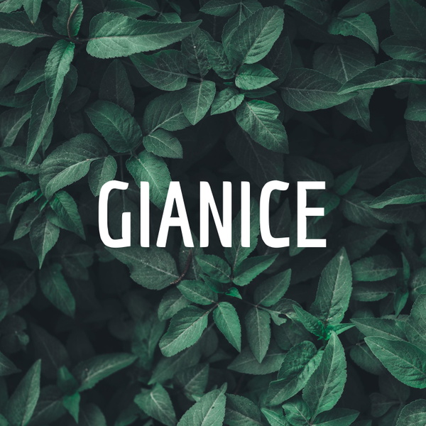 Artwork for GIANICE
