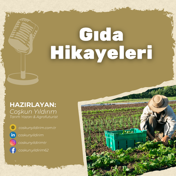 Artwork for Gıda Hikayeleri