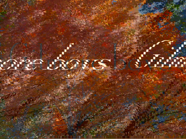 Artwork for Gilmore Boys