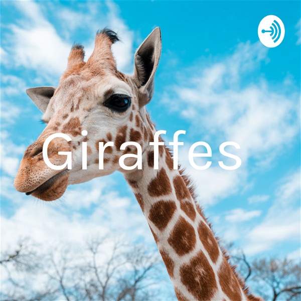 Artwork for Giraffes