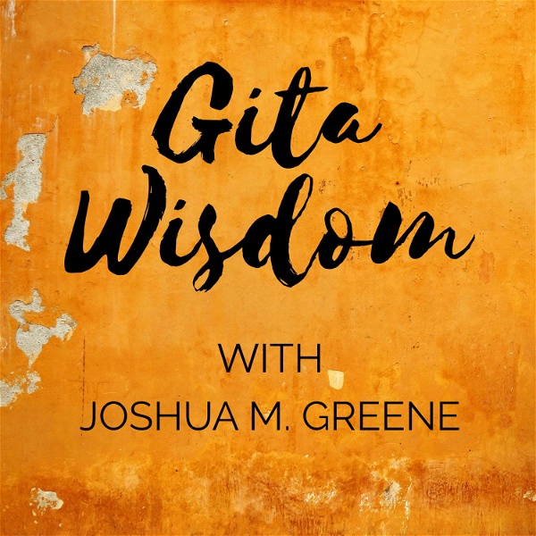 Artwork for Gita Wisdom Teachings by Joshua M. Greene