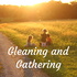 Gleaning and Gathering