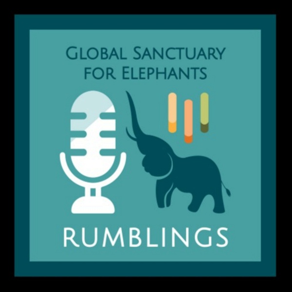 Artwork for Global Rumblings Podcast