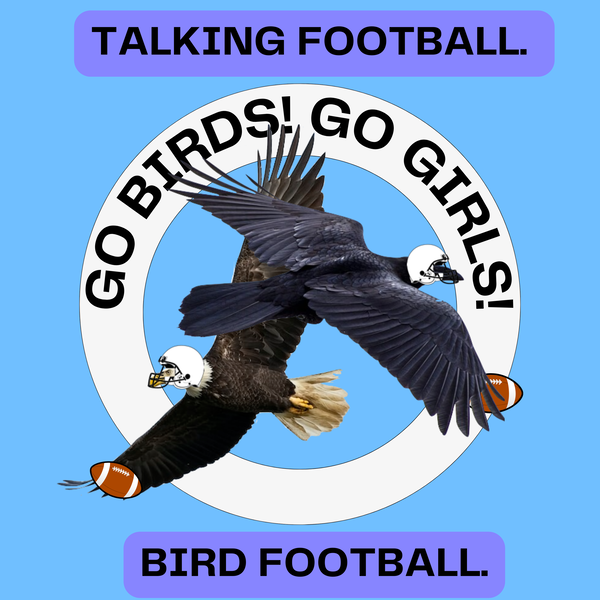 Artwork for Go Birds! Go Girls!