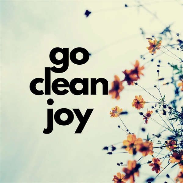 Artwork for Go Clean Joy House Cleaning Tips