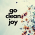 Go Clean Joy House Cleaning Tips