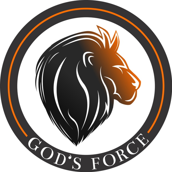 Artwork for God’s Force