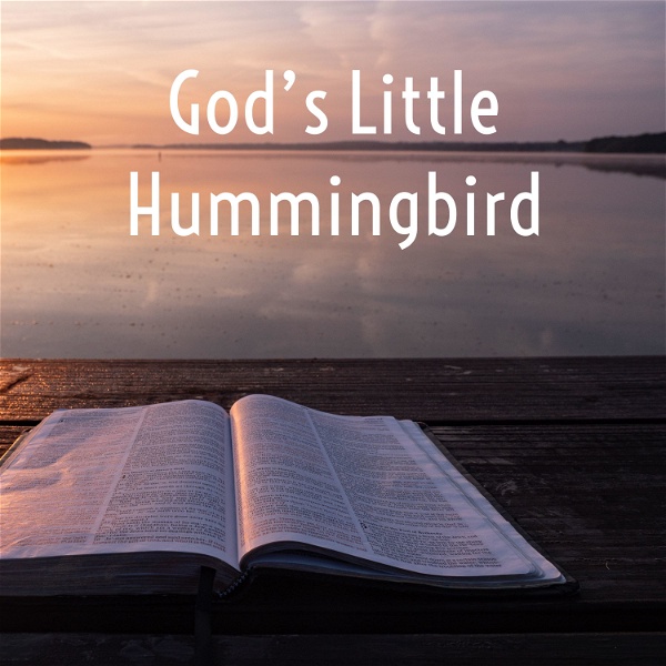 Artwork for God’s Little Hummingbird: Bible Time