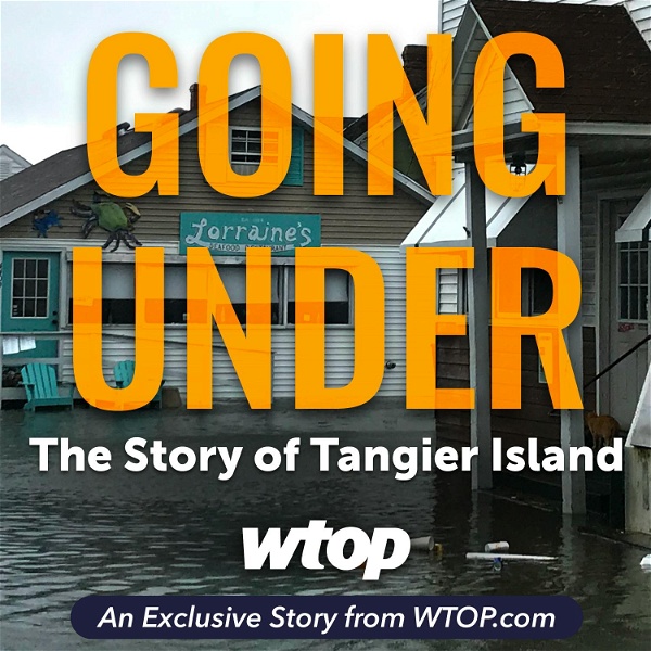Artwork for Going Under: The Story of Tangier Island
