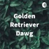 Golden Retriever Dawg